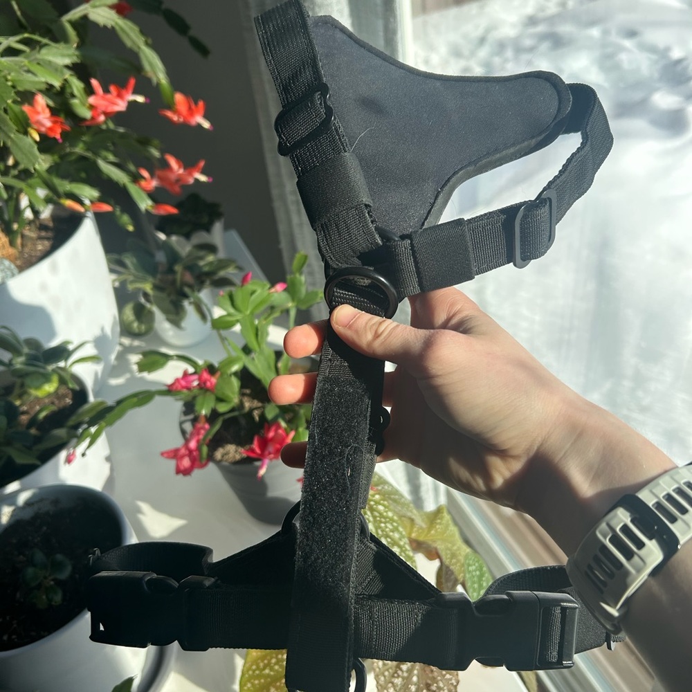 K9 tactical everyday harness